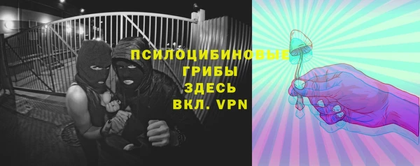крисы Пересвет