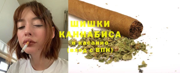 гидра Пестово