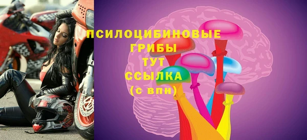 МДПВ Алексеевка